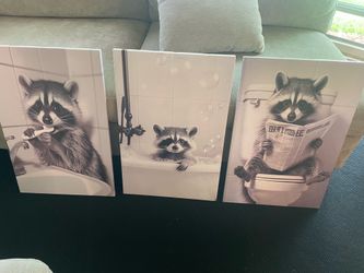 3 Raccoon Canvas Pictures