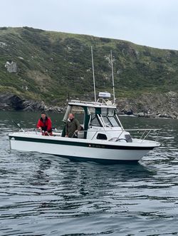 1998 Davis Boats Cortez