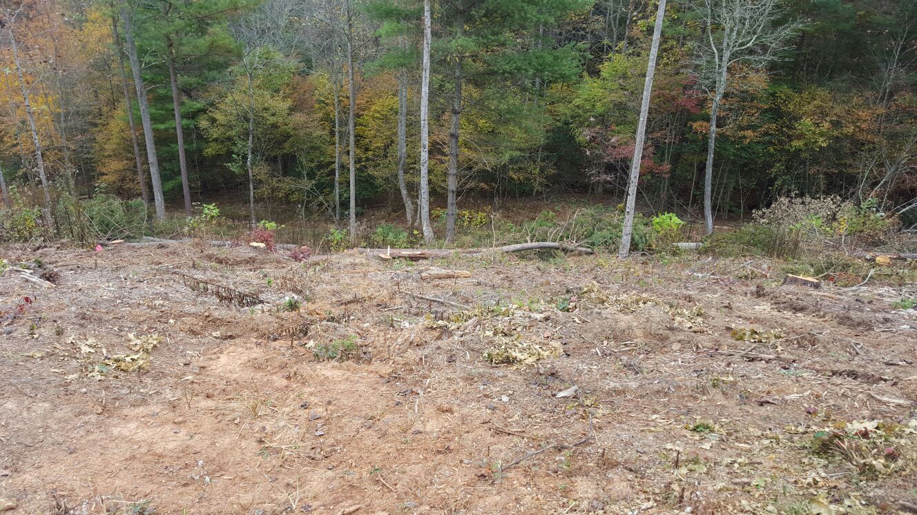 North GA Mountains land 1.89 acres in gated community for
