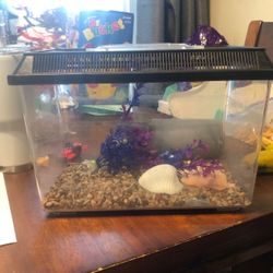 Small fish/turtle/rodent tank plastic good for traveling. 1 gallon aquarium/tank