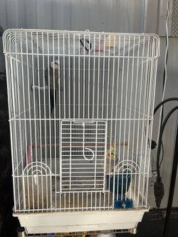 Cage