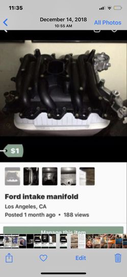 Ford intake