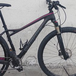 Specialized fate expert 29" full carbon $1100