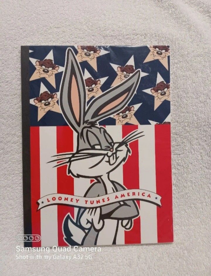 Vintage Looney tunes America ruled notebook