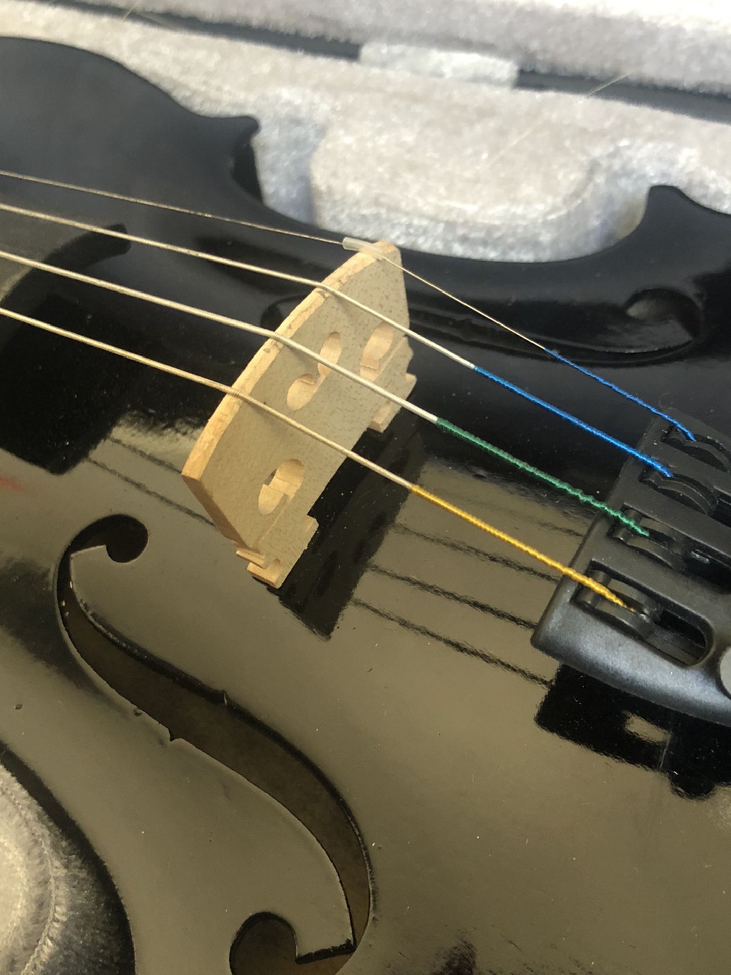 Violin With Two Bows