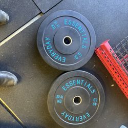 Weight Bumper Plates 45 Lbs Pair