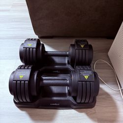 dumbbell, 55lbs each
