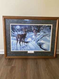 Wildlife Framed Print