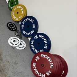 Rogue Calibrated Weights Kg 
