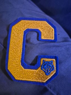 Varsity STYLE Cub Scouts Letterman Patch