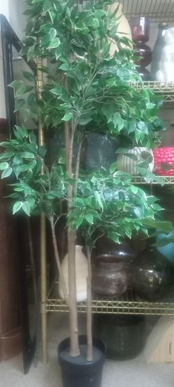 New 6ft silk tree looks real high quality