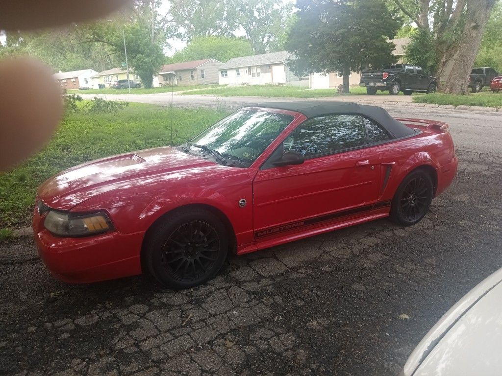 2004 Ford Mustang