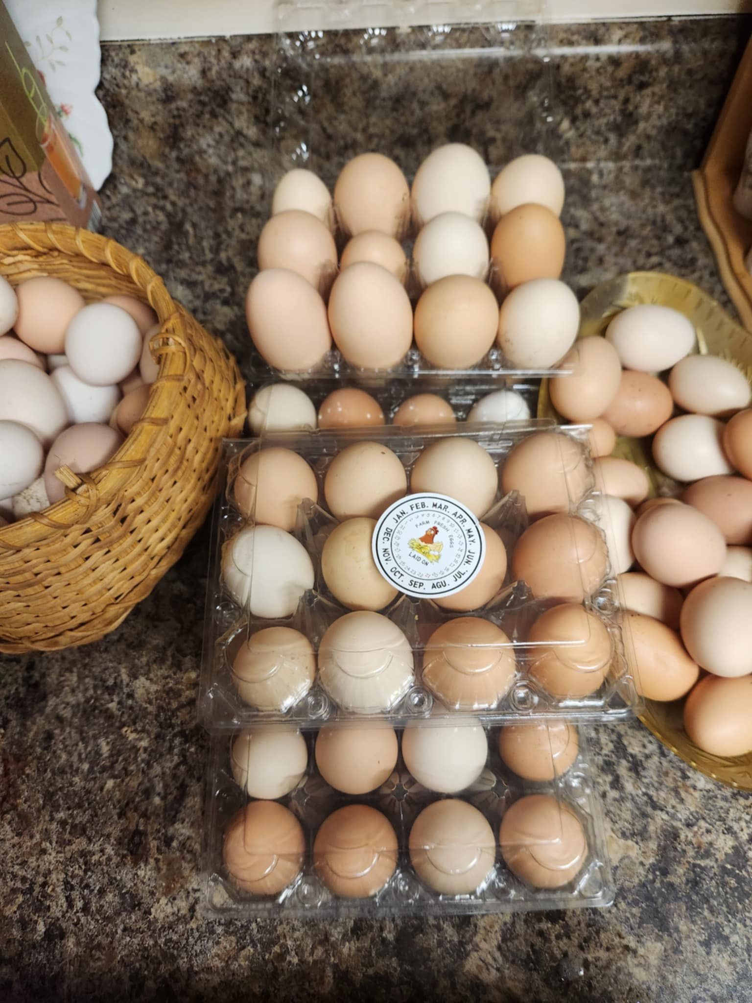 Fresh Organic Eggs