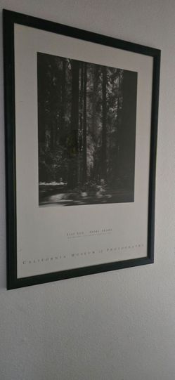 Ansle Adams Photo
