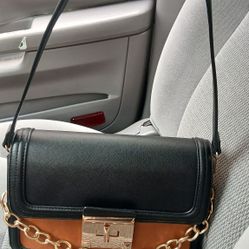 ALDO Purse 