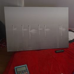 Big Photo 