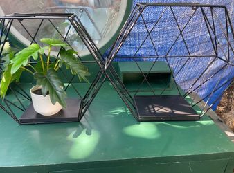 Fake Plant and Two Frames