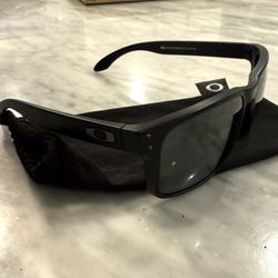 Oakley Men's 009102 Holbrook Polarized Square Sunglasses