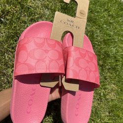 Coach slides online pink