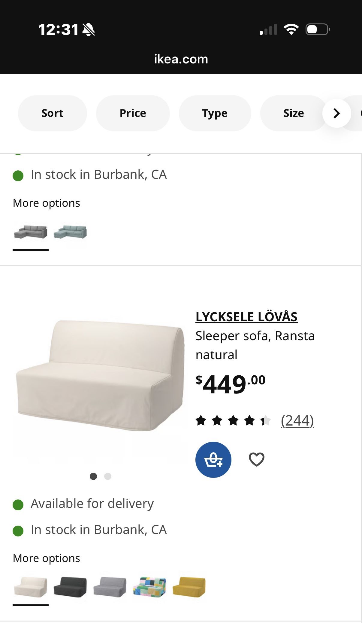 Sleeper Sofa