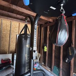 Boxing Apparatus (heavy + speed bag