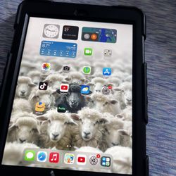 iPad