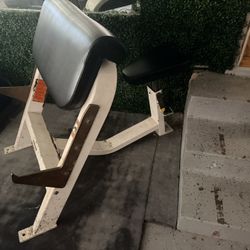 Preacher curl bench