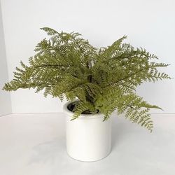 12” Artificial Fern Plant in a White Pot