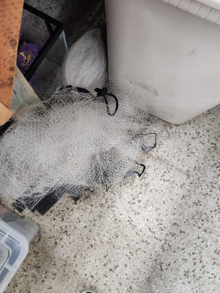 Cast Net Brill