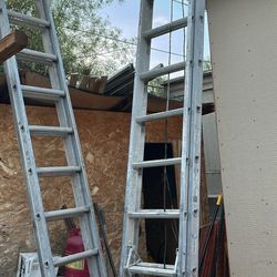 24ft aluminum Latter 100 Each