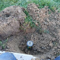 Mulching, Sprinkler, Gutter,clean Up 