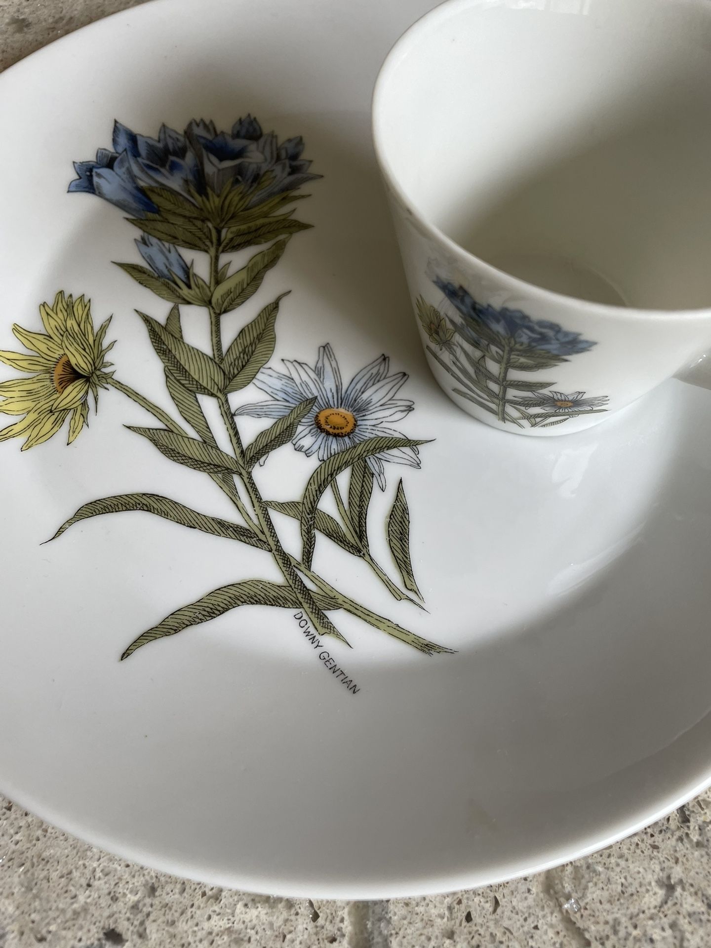 Mid Century Modern Plate Set
