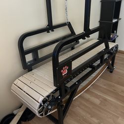 Vevor Dog Treadmill