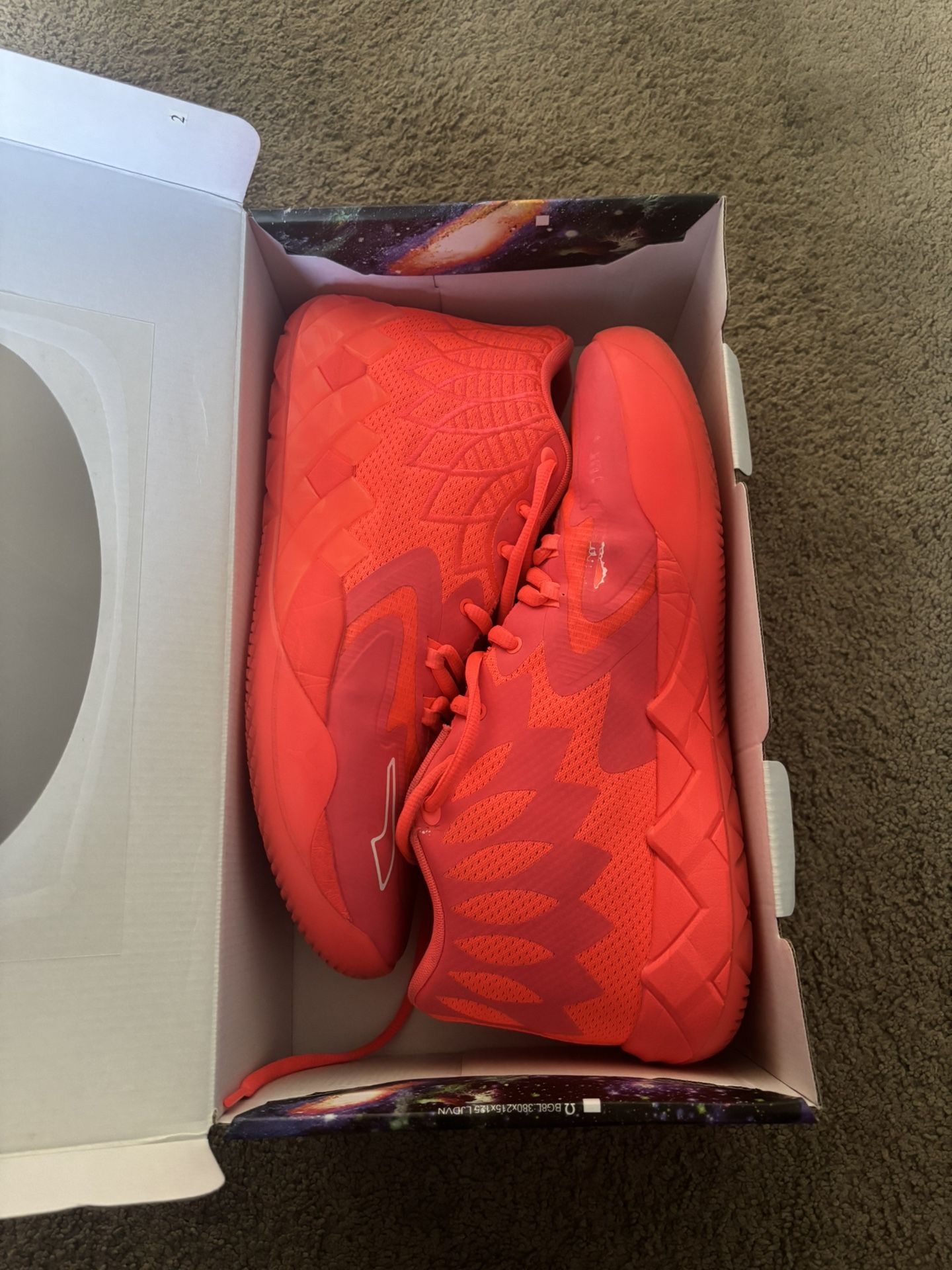 Puma Melo