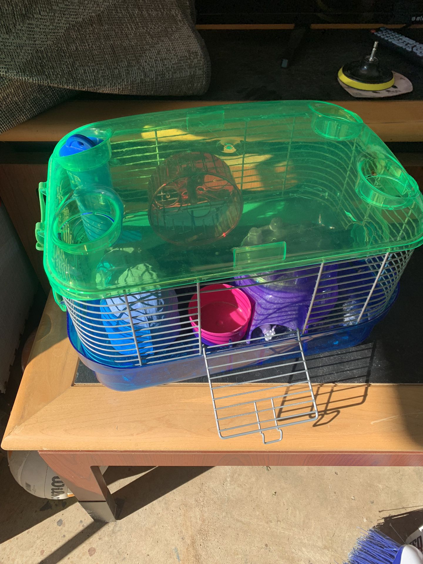 Hamster Cage Setup