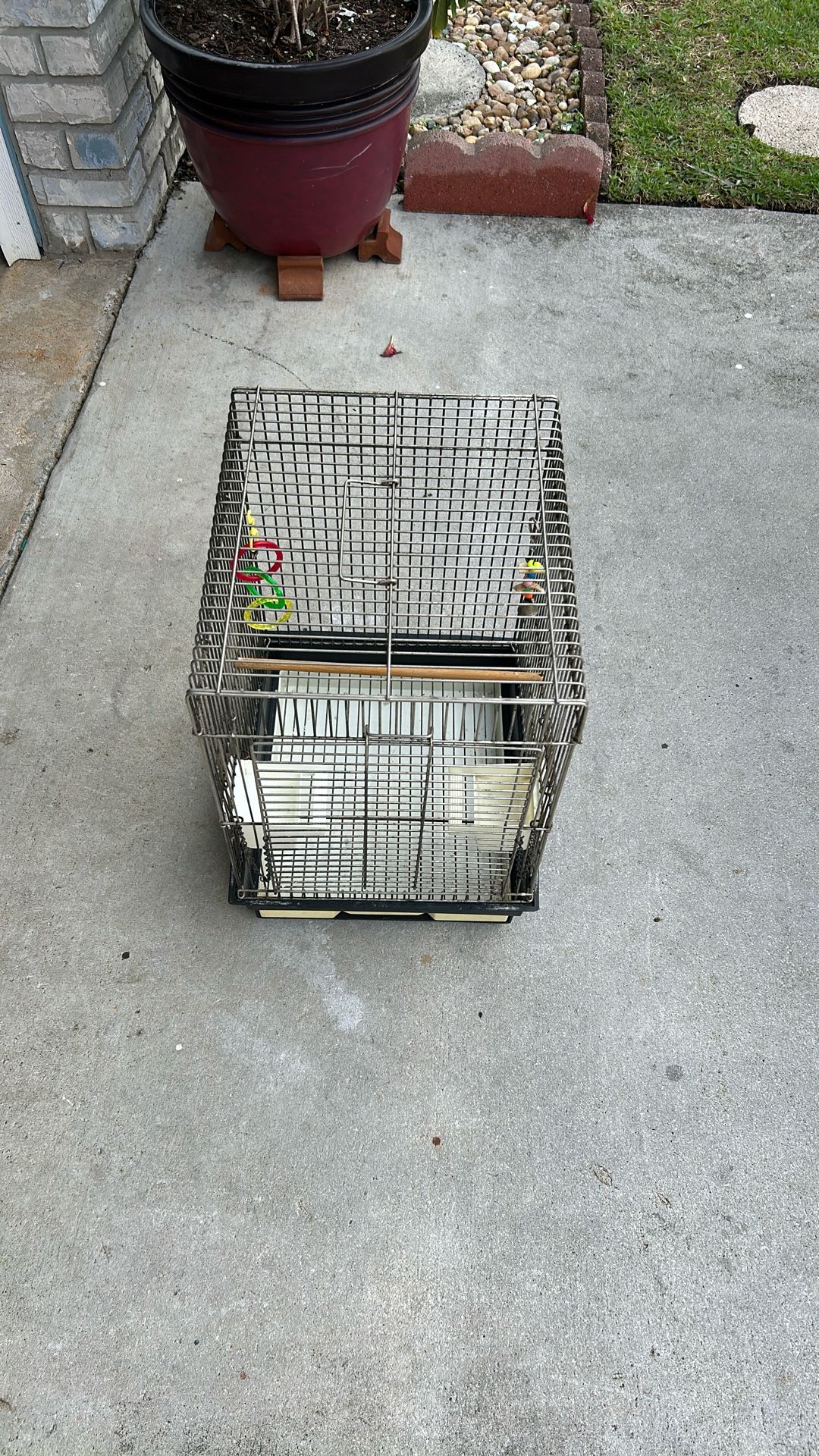 Bird Cage