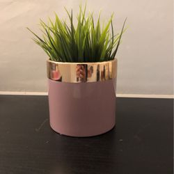 Fake Grass Plant