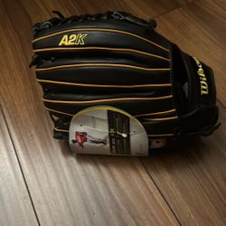 Wilson A2K, CJW 12inch