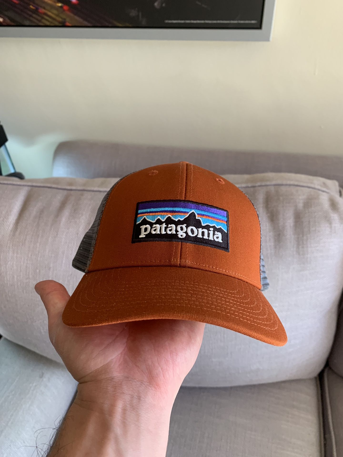 Brand New Patagonia Trucker Hat