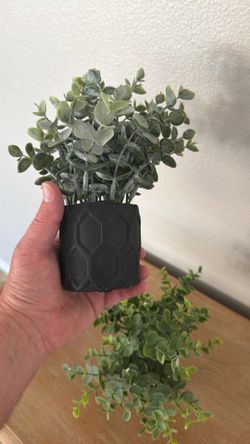 Two small fake plants