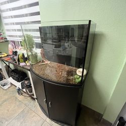 Aquarium And Every Thing You See