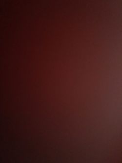 2 tickets for Blake Shelton today !!!