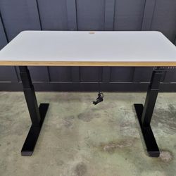 Electric Adjustable Desk
