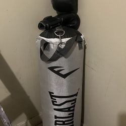everlast punching bag with gloves