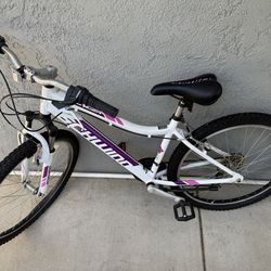 Junior Size Schwinn