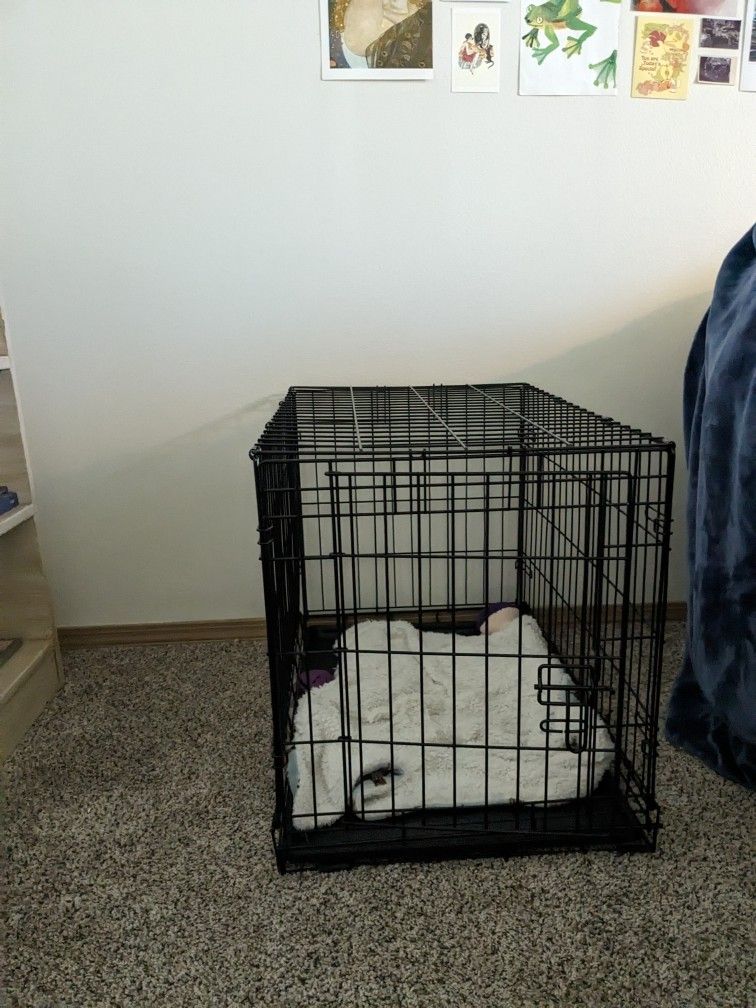 Small-Medium Dog Kennel 