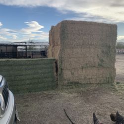 $140 Big Hay  Bales / Pacas Grandes de Alfalfa 