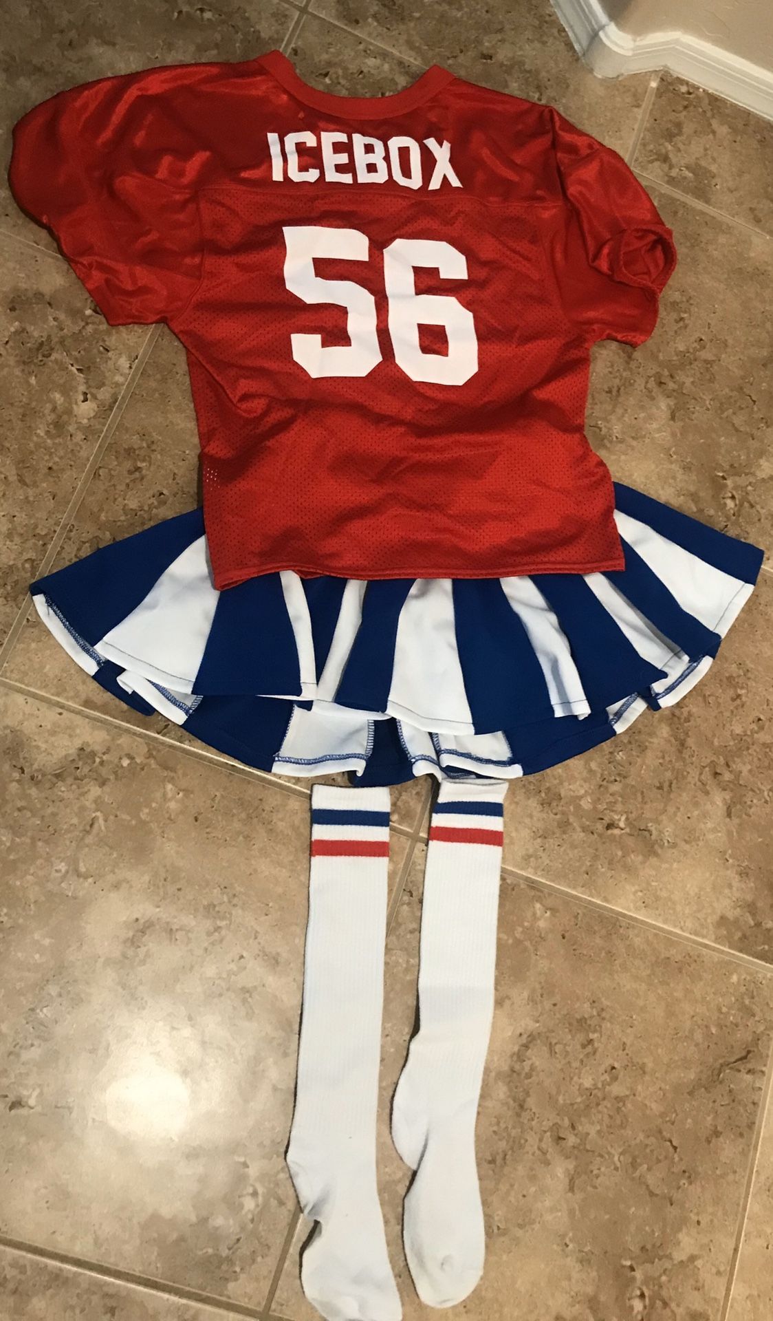 The Little Giants Icebox