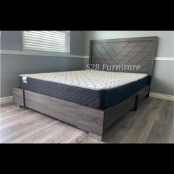 Queen Greywood With Ortho Matres!