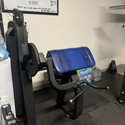 Precor Bicep Machine 